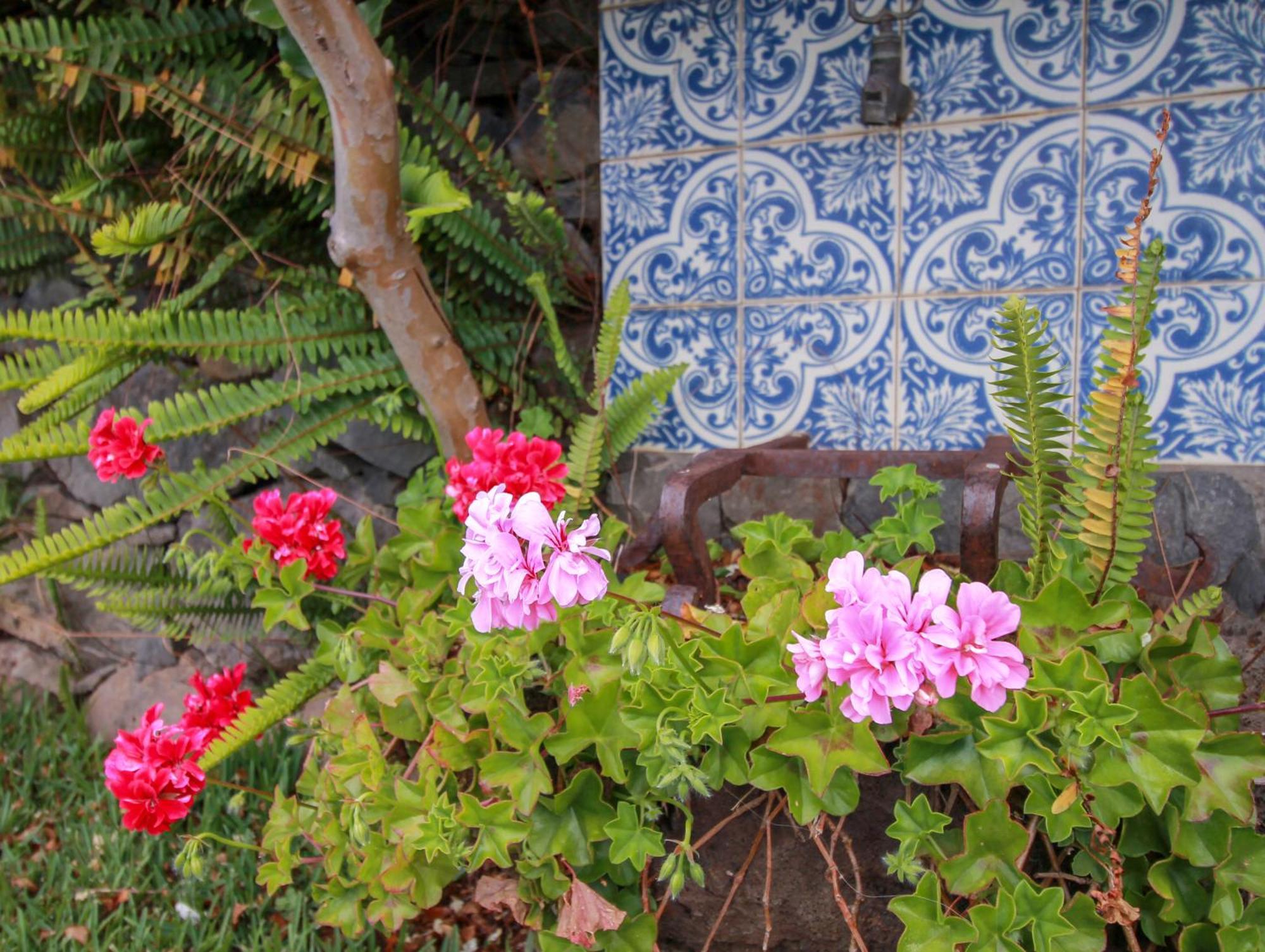 Calhau Grande Hotel Arco da Calheta  Buitenkant foto